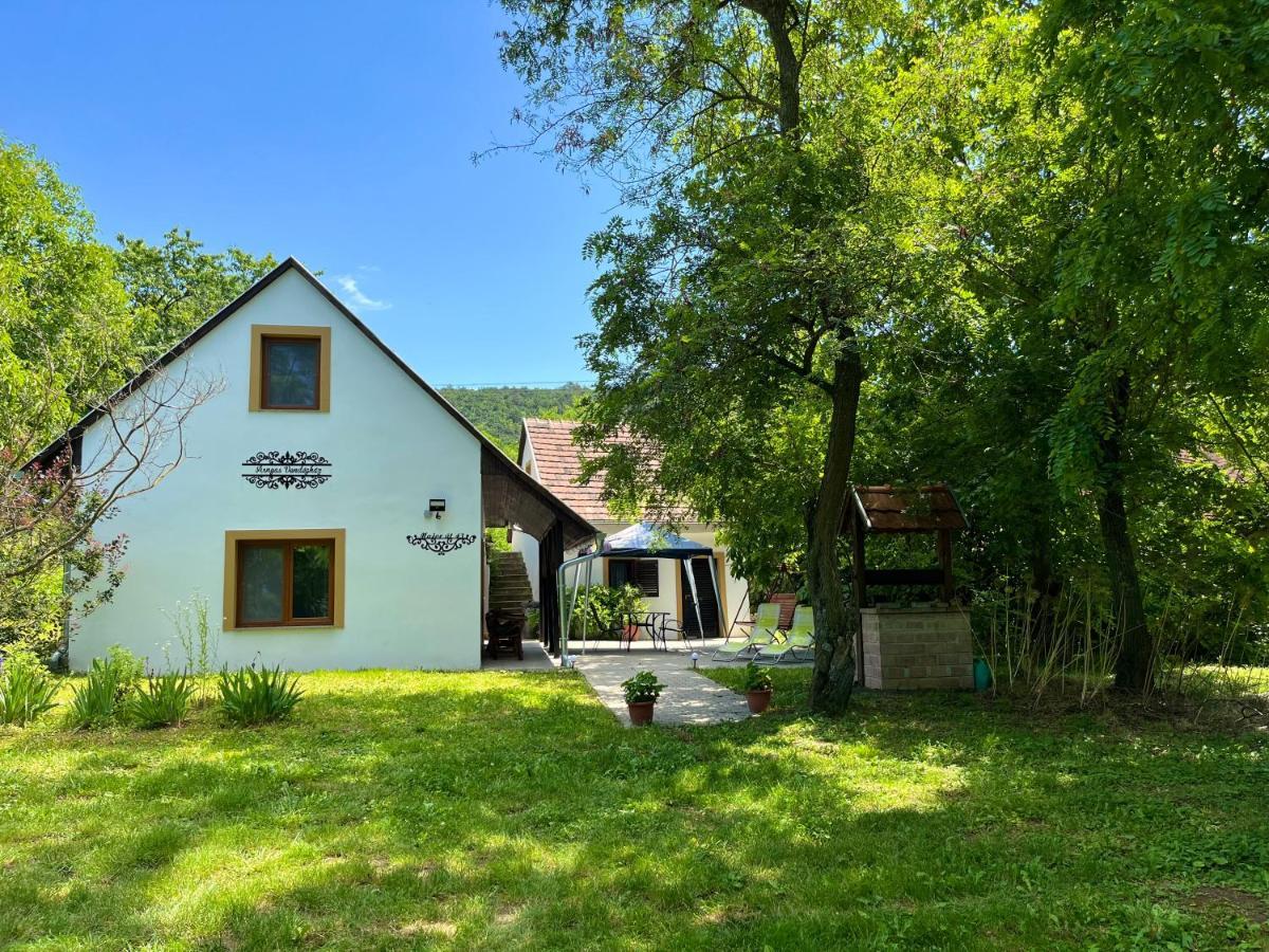 Arnyas Vendeghaz Villa Badacsonytomaj Buitenkant foto